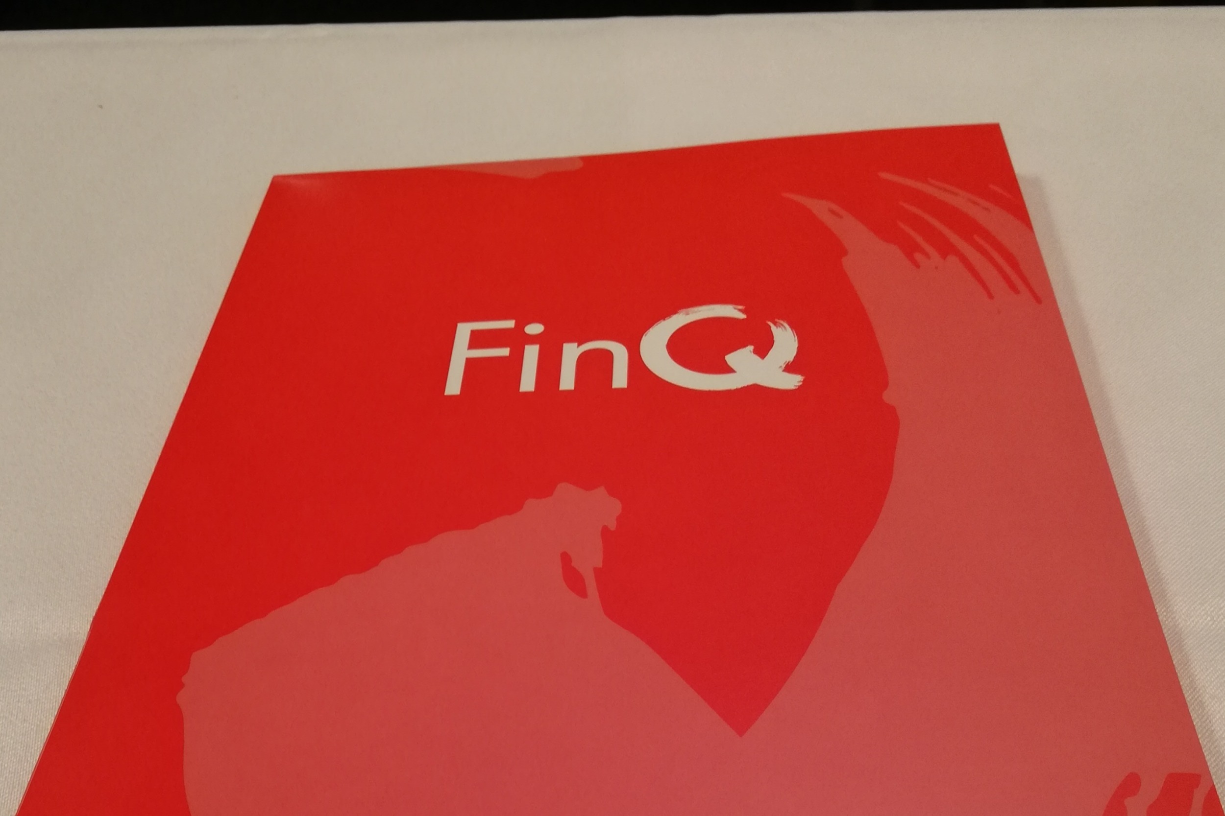 FinQ projekt