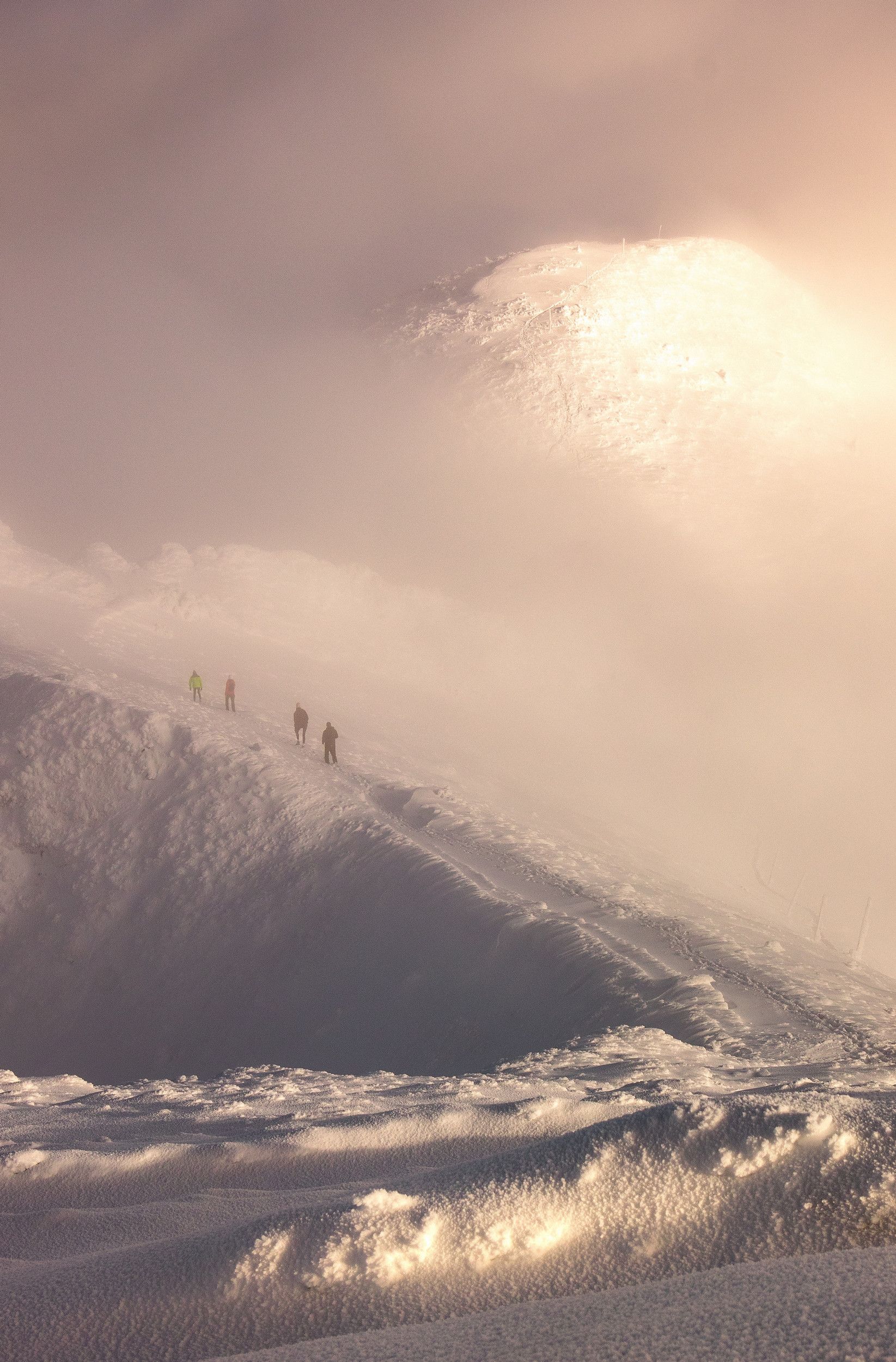 Timotej Talapka - Cesta na vrchol