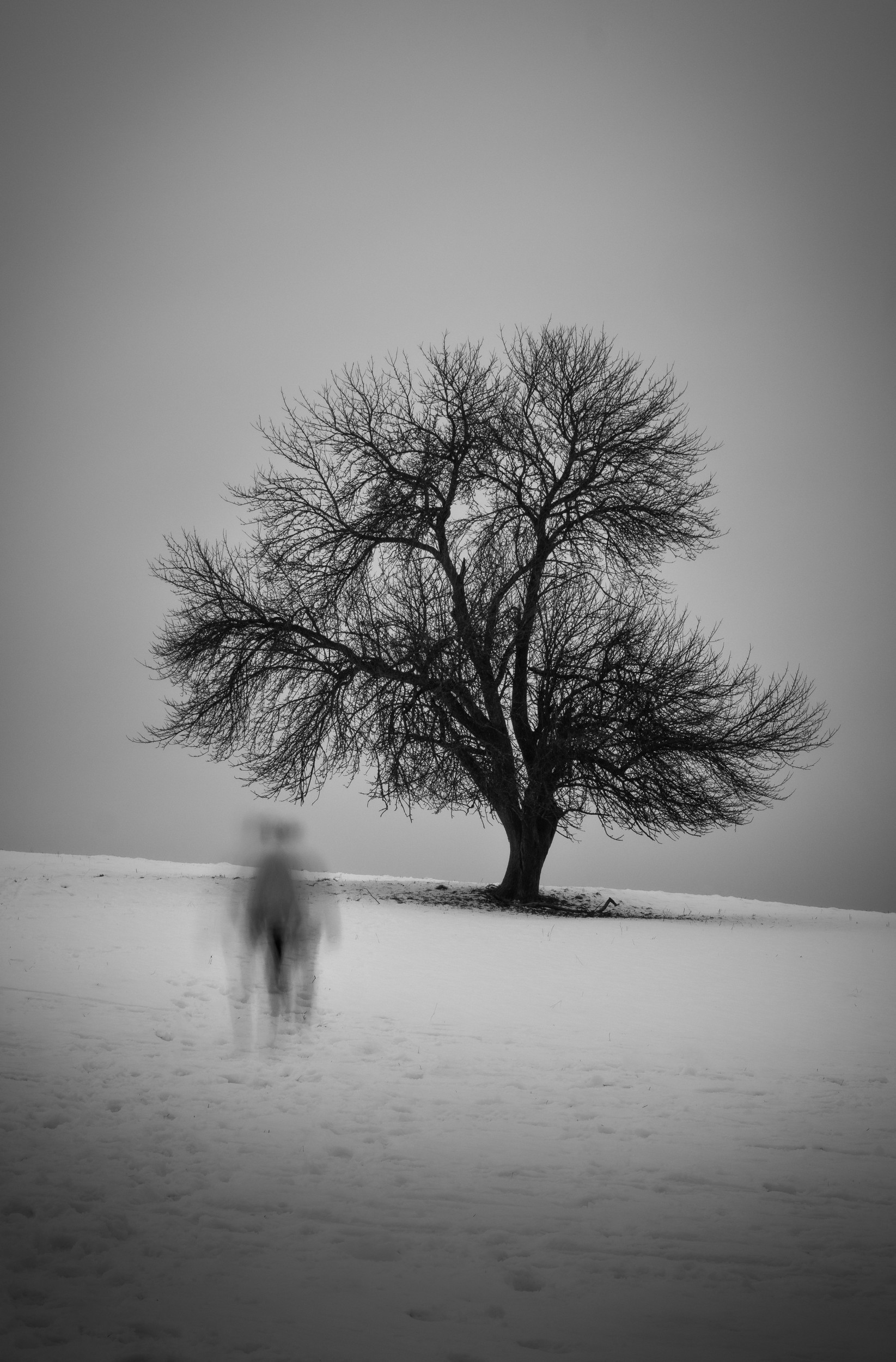 Timotej Talapka - Paranoja